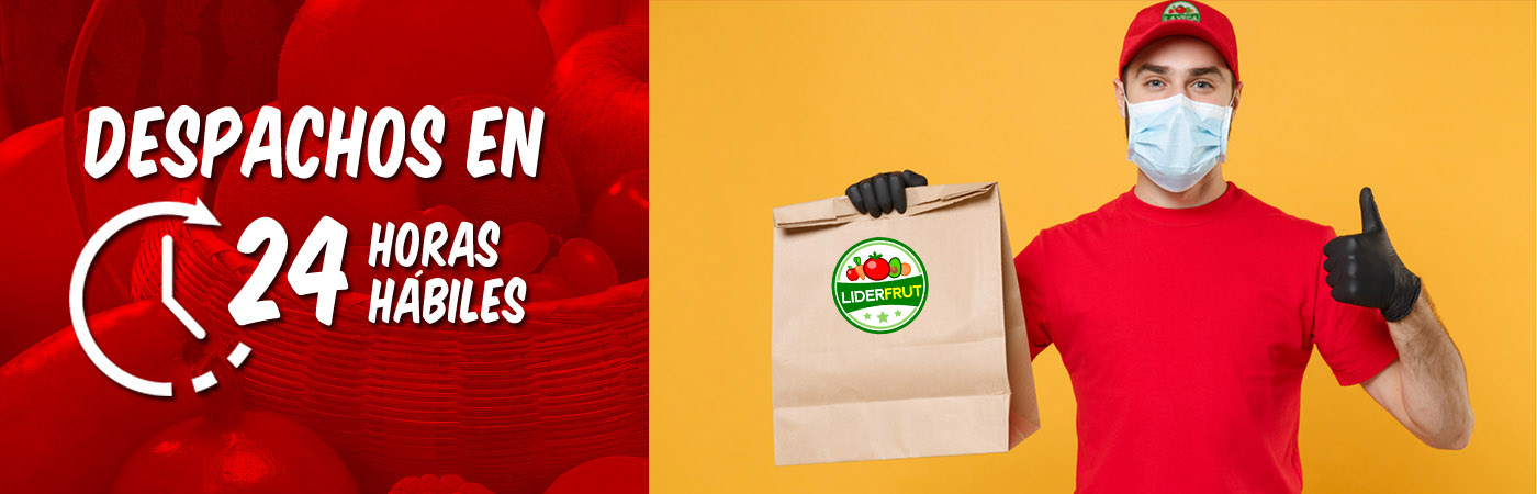 Despachos en 24 Horas Hábiles